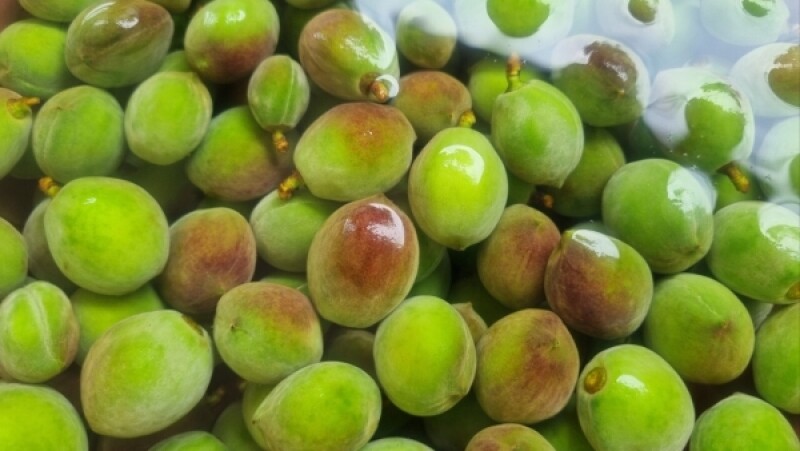 다약,다약식초,천연발효식초,유가농식초,스틱식초,다약스틱식초,톡쏘는맛,개복숭아,발효식초,세척개복숭아,돌복숭아,식초,청귤,청귤식초,개복숭아식초,돌배청,식초선물세트,선물하기좋은,식초세트