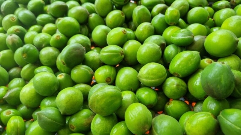 다약,다약식초,천연발효식초,유가농식초,스틱식초,다약스틱식초,톡쏘는맛,개복숭아,발효식초,세척개복숭아,돌복숭아,식초,청귤,청귤식초,개복숭아식초,돌배청,식초선물세트,선물하기좋은,식초세트