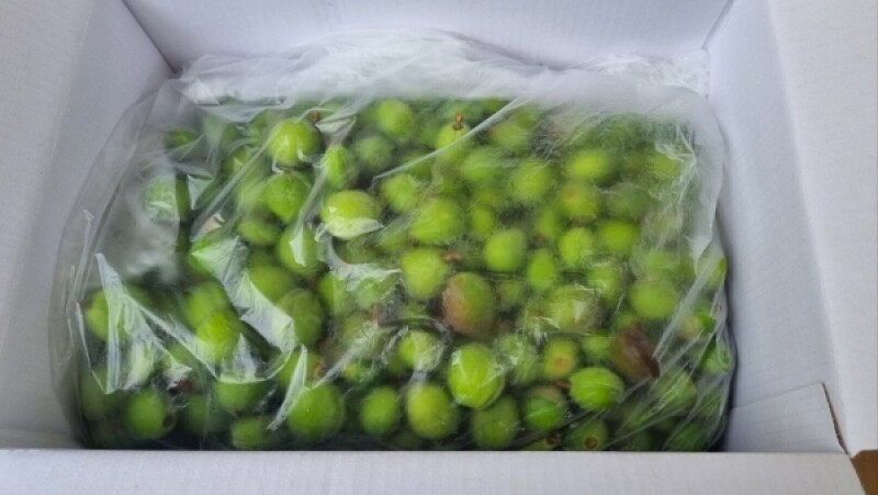 다약,다약식초,천연발효식초,유가농식초,스틱식초,다약스틱식초,톡쏘는맛,개복숭아,발효식초,세척개복숭아,돌복숭아,식초,청귤,청귤식초,개복숭아식초,돌배청,식초선물세트,선물하기좋은,식초세트